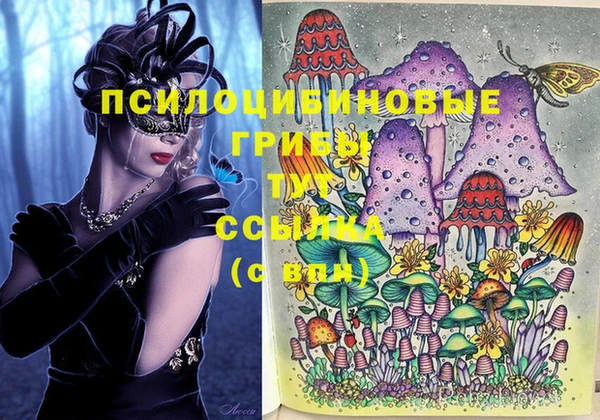 ALPHA-PVP Нефтекумск