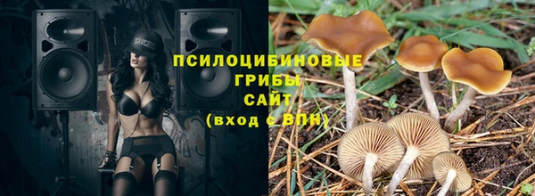 гидра Нея