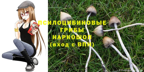 гидра Нея