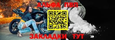 кокс Кингисепп