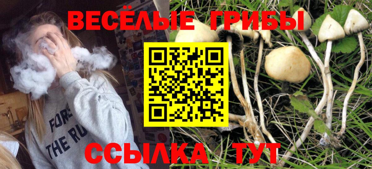 Псилоцибиновые грибы прущие грибы  Вход с VPN  Мурино 