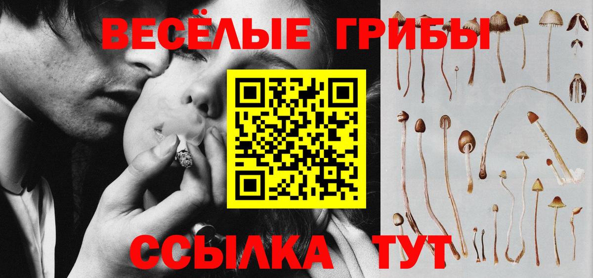 Cocaine Мурино