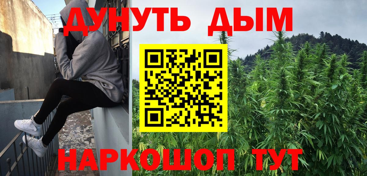 Конопля Мурино